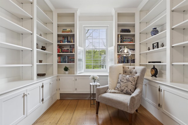 living area featuring light wood-type flooring