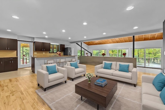 living room featuring light hardwood / wood-style floors