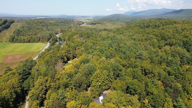 drone / aerial view with a mountain view