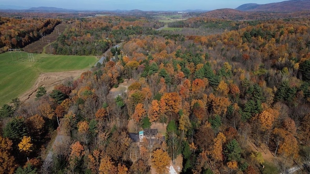 drone / aerial view featuring a mountain view