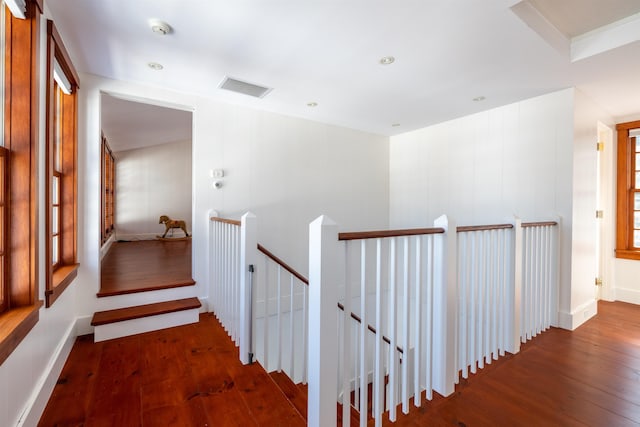 hall with dark hardwood / wood-style flooring