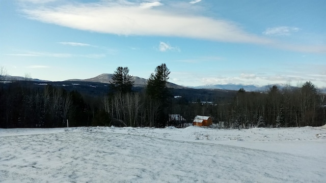 view of mountain feature featuring a wooded view