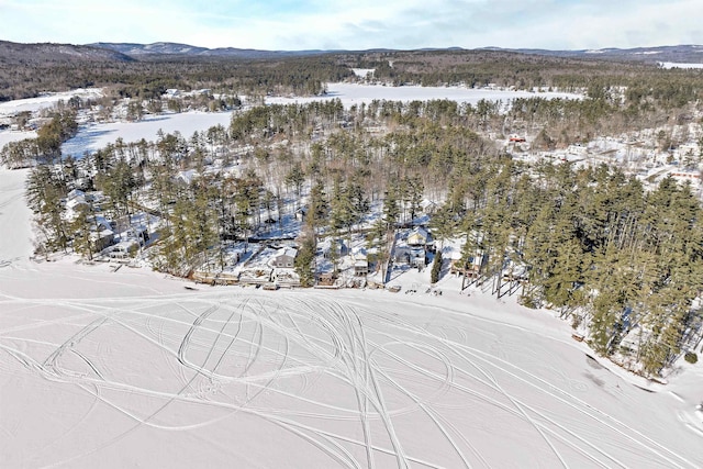 snowy aerial view featuring a mountain view