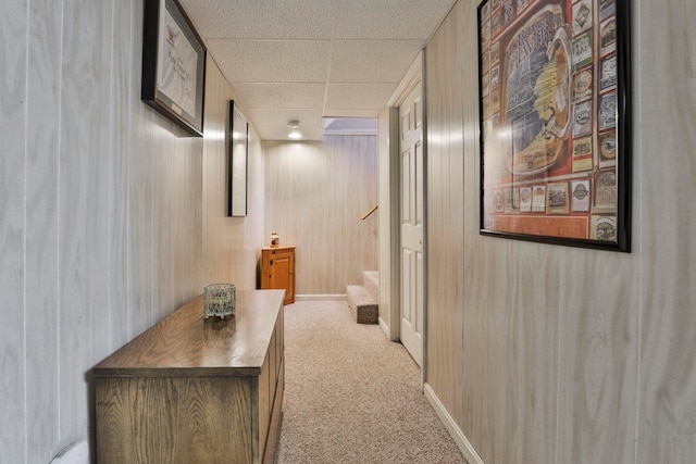 corridor featuring a paneled ceiling, light colored carpet, and wooden walls