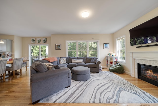 living room with light hardwood / wood-style flooring