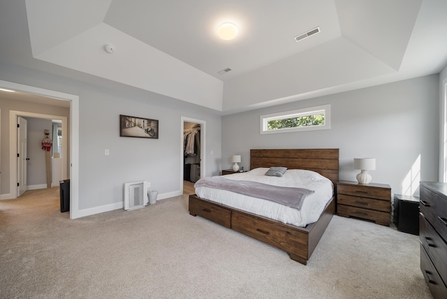 bedroom featuring a raised ceiling, light carpet, a closet, and a spacious closet