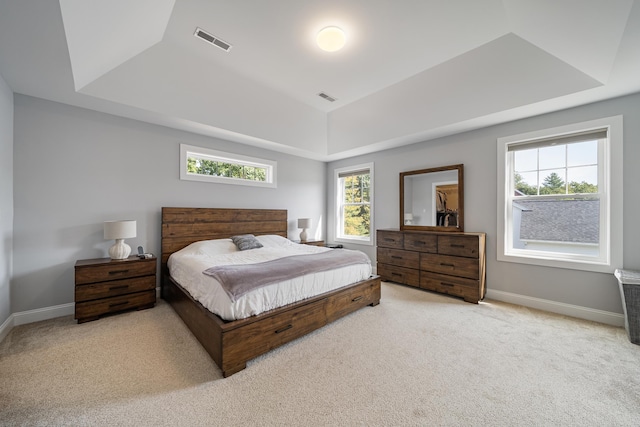 carpeted bedroom with a tray ceiling