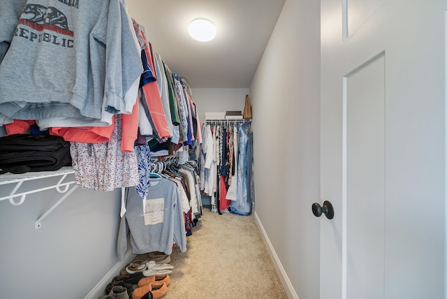 spacious closet featuring light carpet