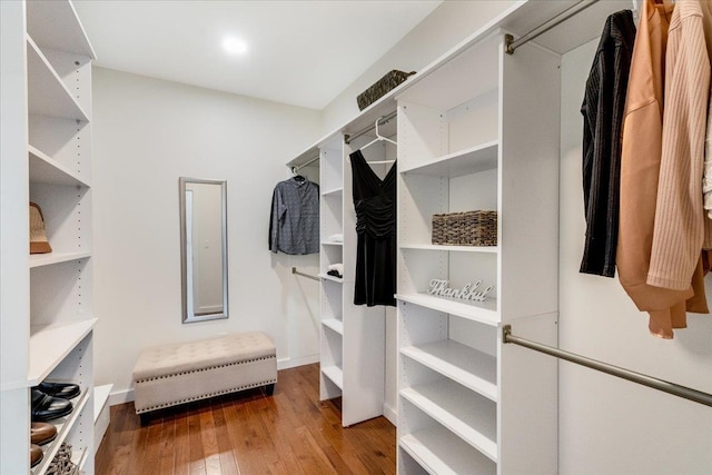 walk in closet with hardwood / wood-style floors