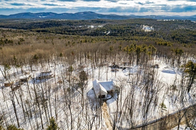 snowy aerial view featuring a mountain view