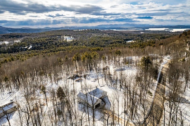 snowy aerial view featuring a mountain view