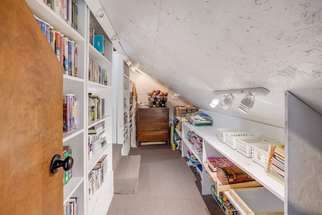 interior space featuring carpet flooring and vaulted ceiling