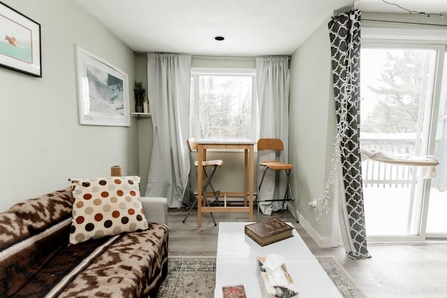 sitting room with a baseboard radiator, baseboards, and wood finished floors