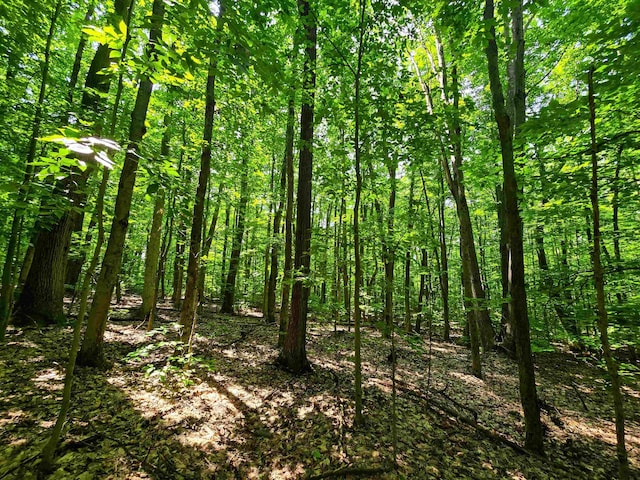 170 Gore Rd, Bennington, VT 05201