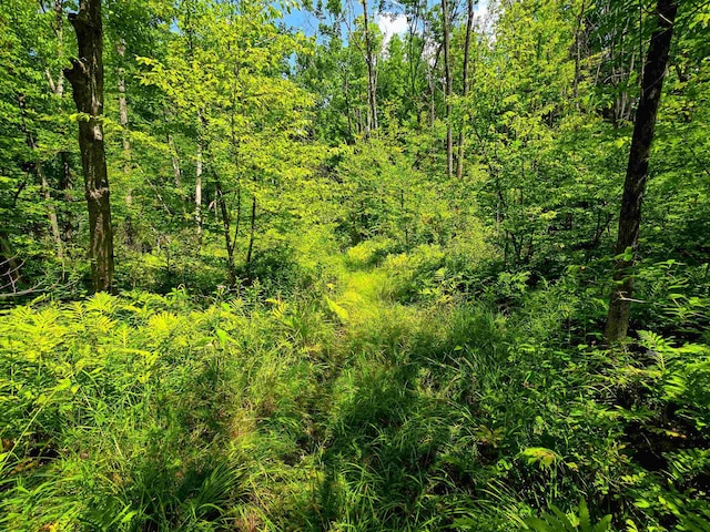 170 Gore Rd, Bennington, VT 05201