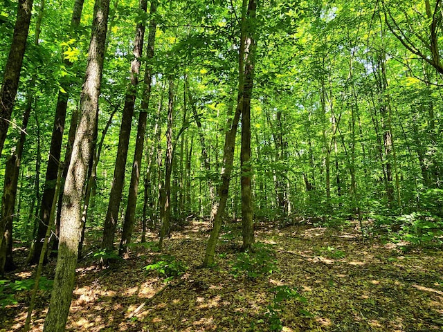 170 Gore Rd, Bennington, VT 05201