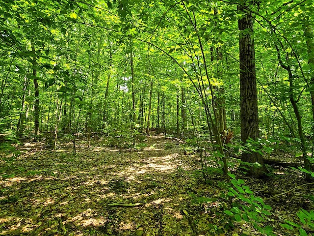 170 Gore Rd, Bennington, VT 05201