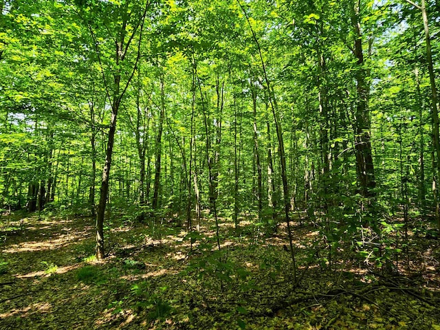 170 Gore Rd, Bennington, VT 05201