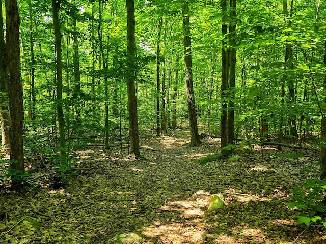 170 Gore Rd, Bennington, VT 05201