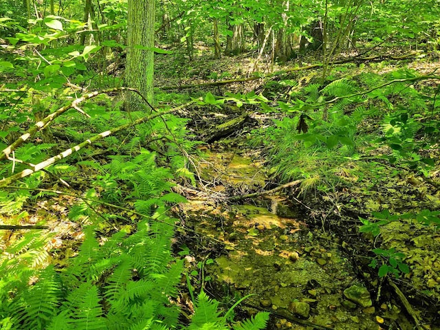 170 Gore Rd, Bennington, VT 05201