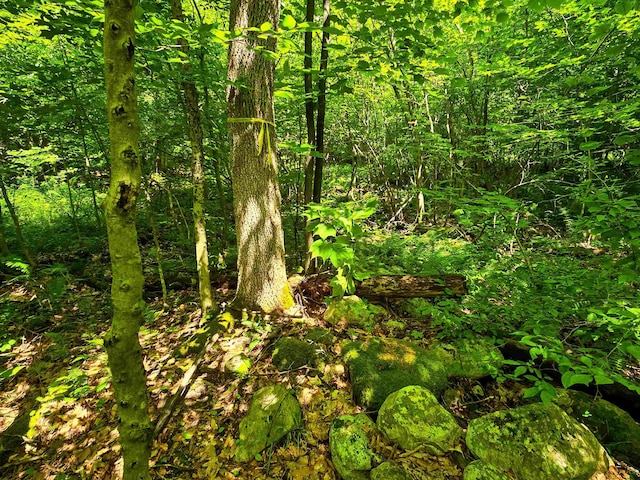 170 Gore Rd, Bennington, VT 05201