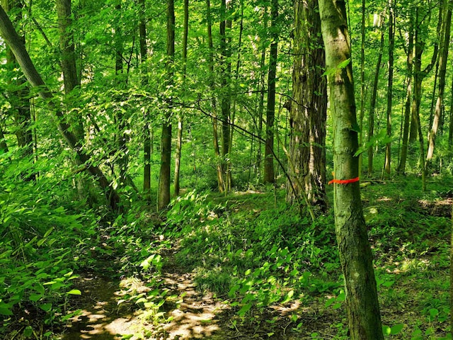 170 Gore Rd, Bennington, VT 05201