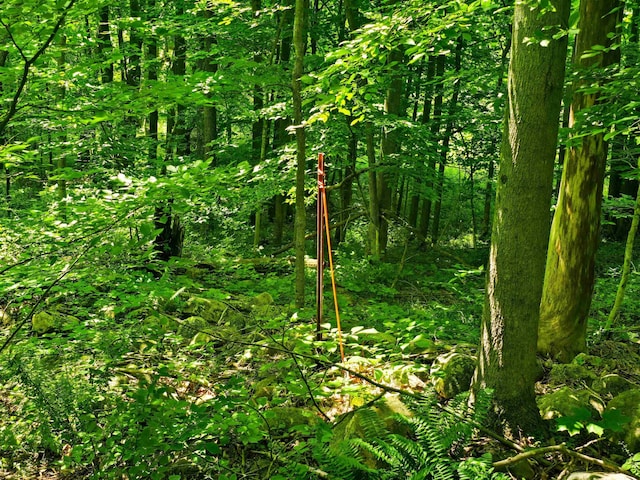 170 Gore Rd, Bennington, VT 05201