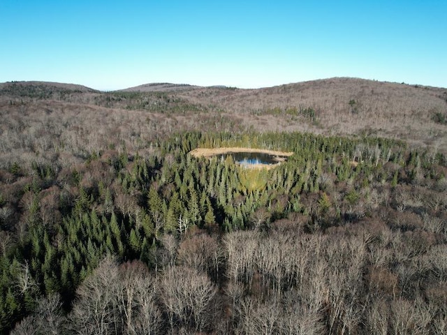 Listing photo 3 for 2945 Coles Pond Rd, Walden VT 05836