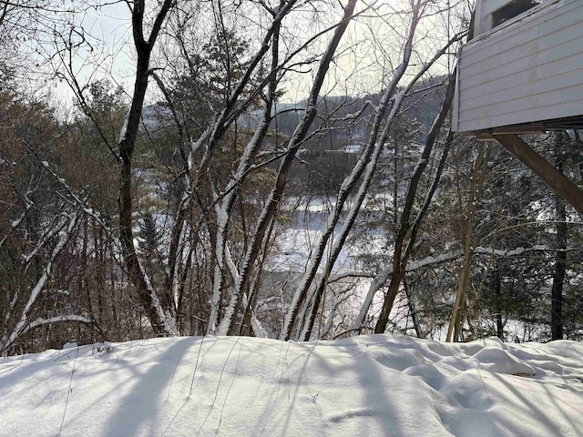 view of snowy yard