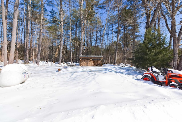 view of yard covered in snow