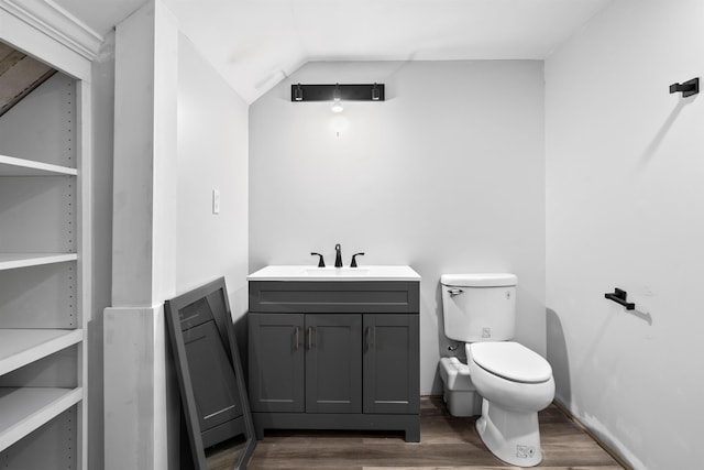 bathroom with vanity, a closet, wood finished floors, and toilet