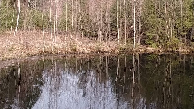 view of local wilderness with a water view and a wooded view