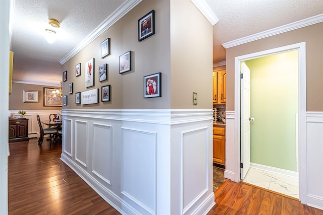 hall featuring dark wood-style flooring, a wainscoted wall, crown molding, and a textured ceiling