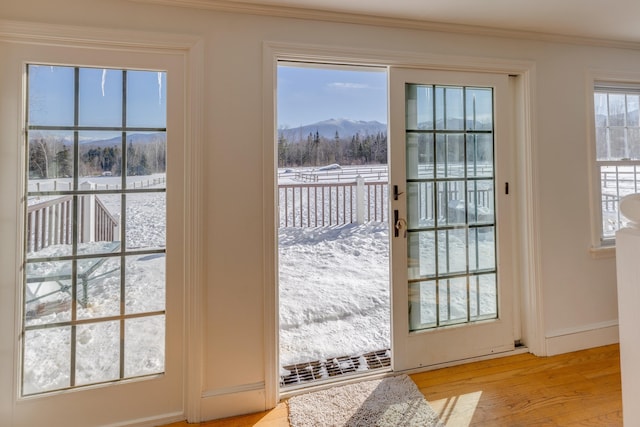 doorway with crown molding, a mountain view, light wood-style flooring, and baseboards