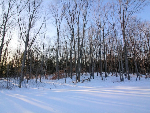 view of yard layered in snow