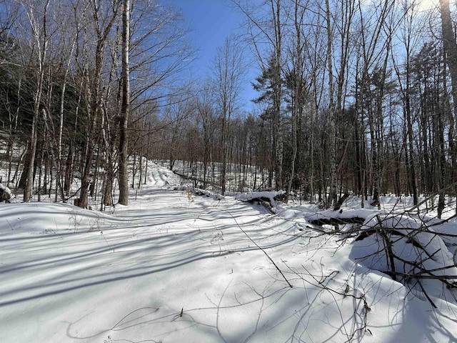 00 Robin Bird Ln, Brandon VT, 05733 land for sale