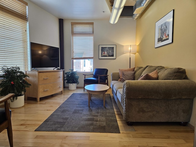 living room featuring wood finished floors