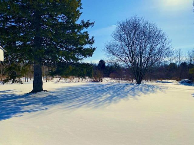 view of yard layered in snow