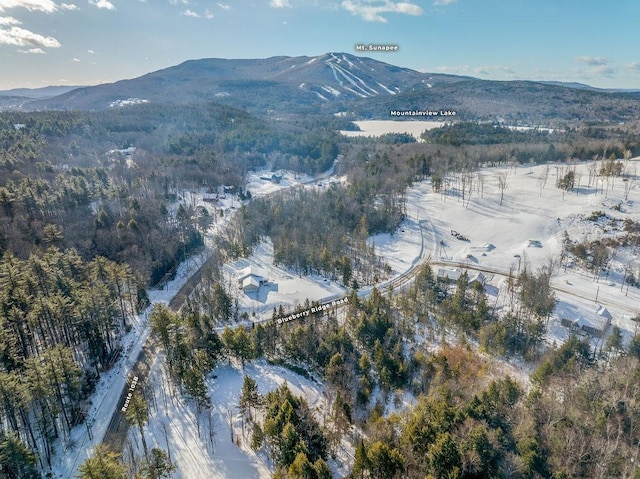 Edgemont Rd, Sunapee NH, 03782 land for sale