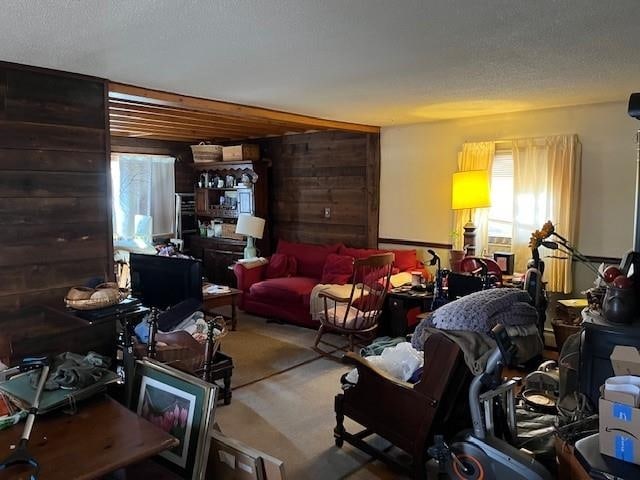 living room featuring carpet floors and a textured ceiling