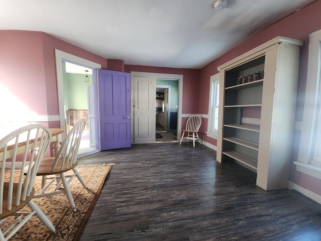 interior space with dark wood finished floors