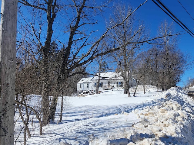 view of yard covered in snow