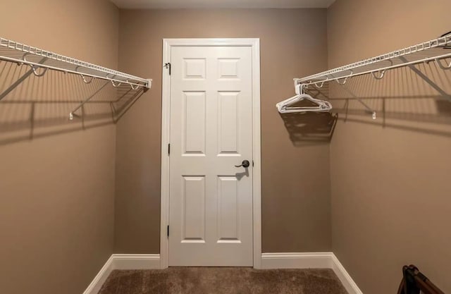 spacious closet featuring carpet flooring