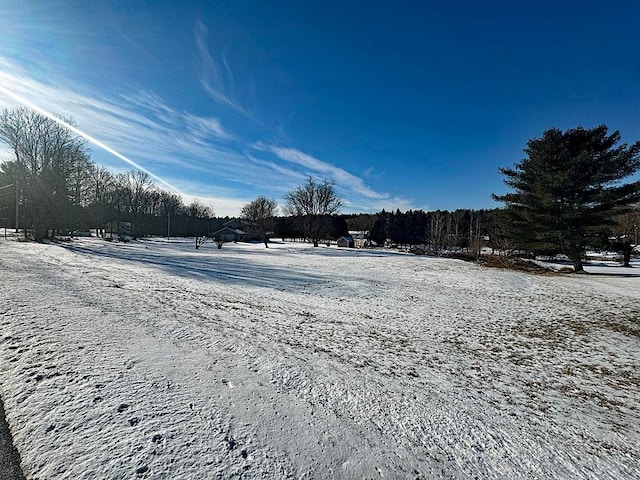 Listing photo 3 for 0 Blissville Rd, Castleton VT 05735