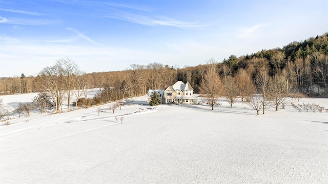 view of yard layered in snow