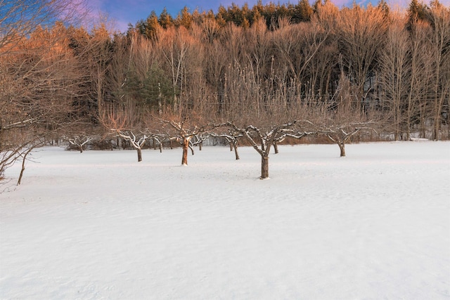 view of snow covered land