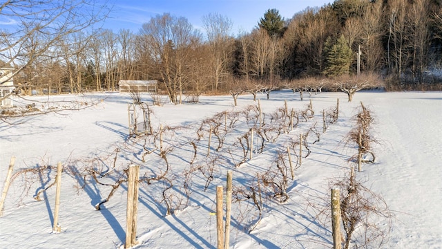 view of yard layered in snow