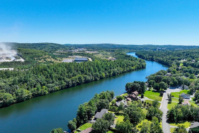 drone / aerial view with a water view and a forest view