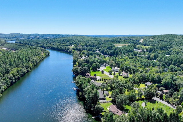 drone / aerial view with a water view and a forest view