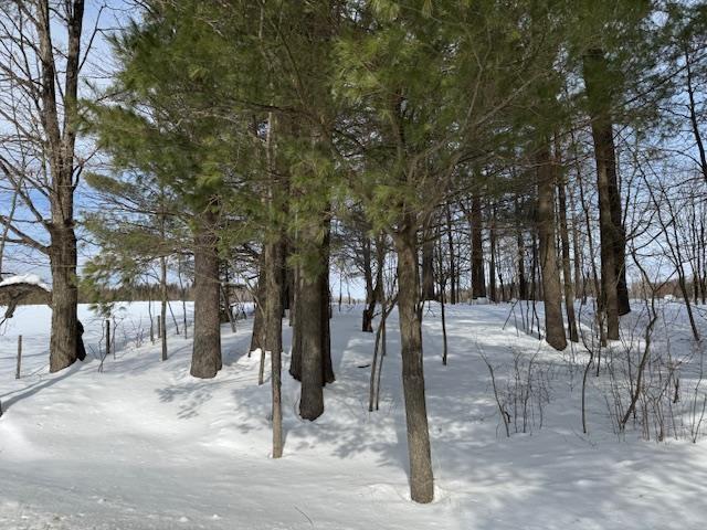 Collinsville Rd, Craftsbury VT, 05826 land for sale